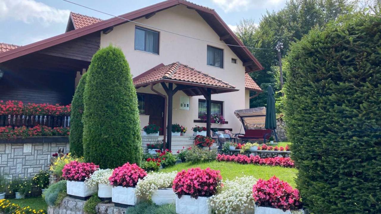 Apartment Vihor Ζλάτιμπορ Εξωτερικό φωτογραφία